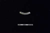 陶環藏品圖，第2張